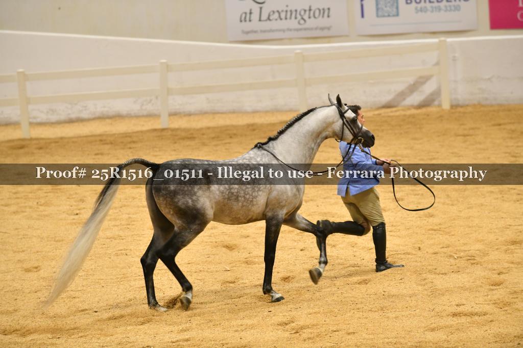 Proof Number 25R1516_01511