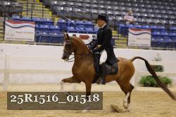 25R1516_01518 thumbnail