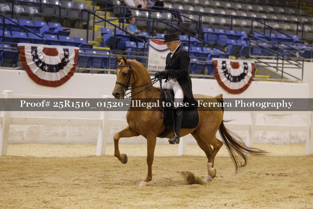 Proof Number 25R1516_01520