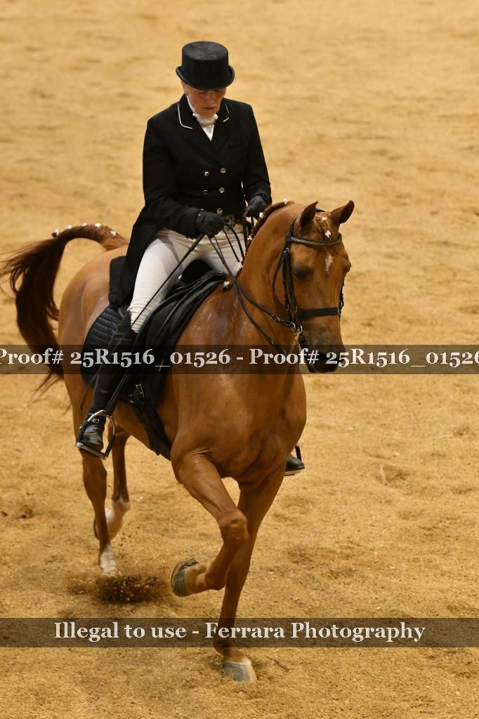 Proof Number 25R1516_01526