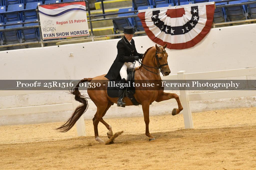 Proof Number 25R1516_01530