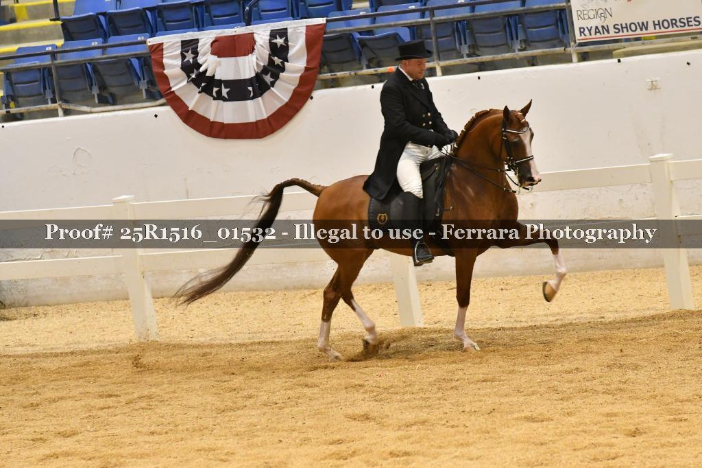 Proof Number 25R1516_01532