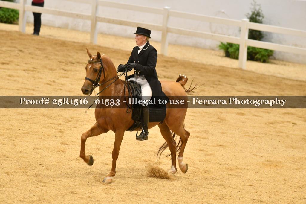Proof Number 25R1516_01533