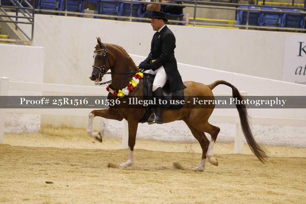 Proof Number 25R1516_01536