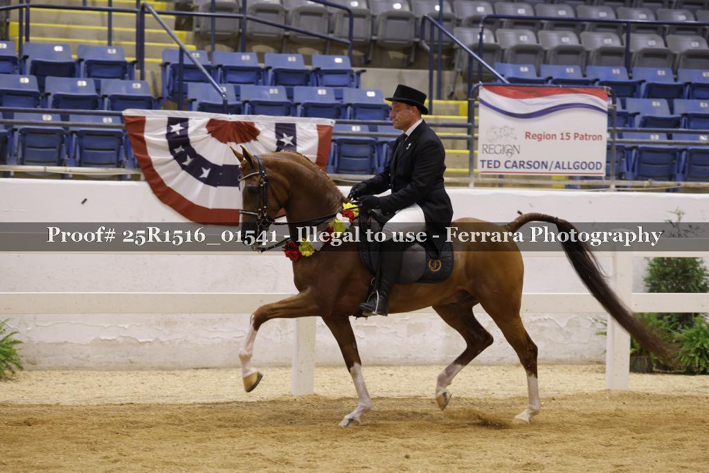 Proof Number 25R1516_01541