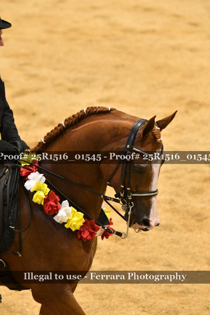 Proof Number 25R1516_01545