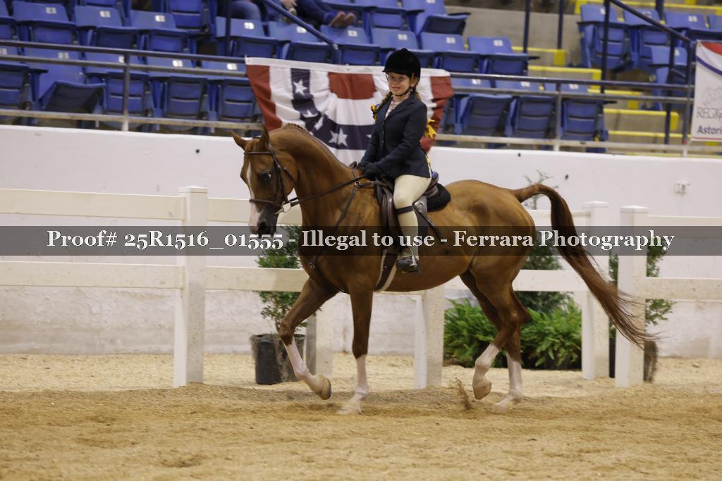 Proof Number 25R1516_01555