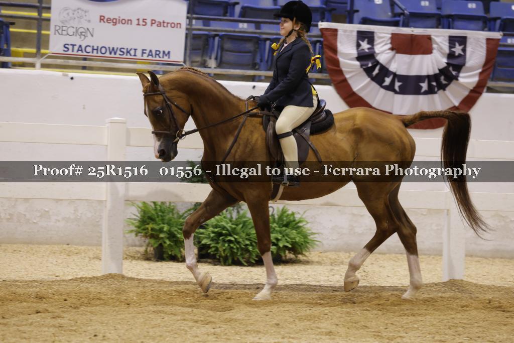 Proof Number 25R1516_01556