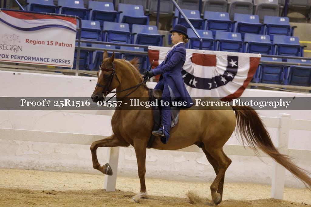 Proof Number 25R1516_01557