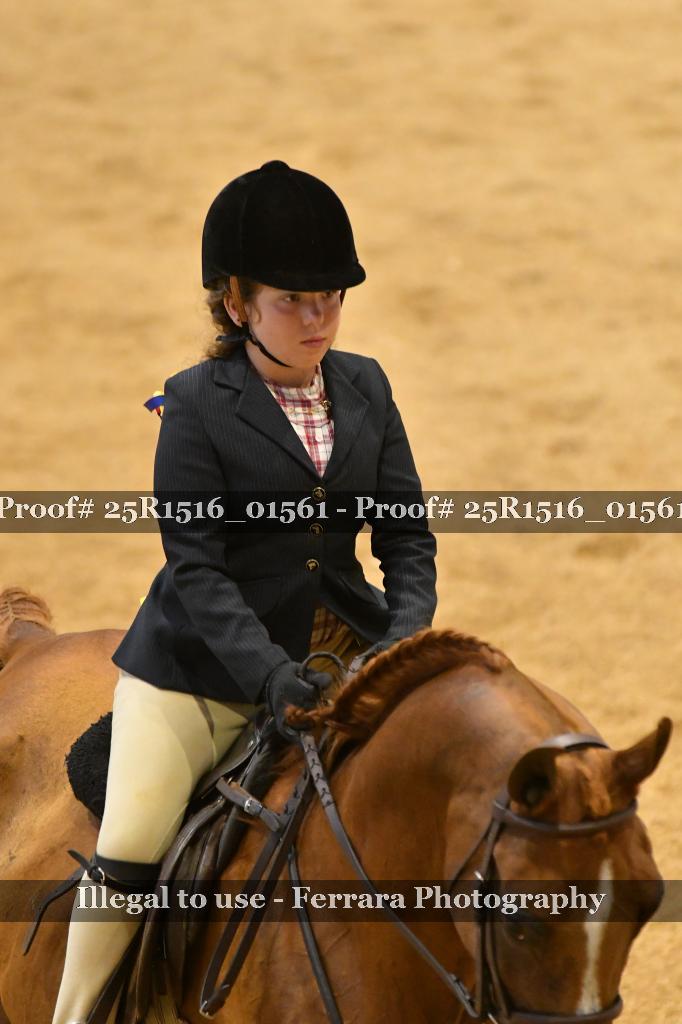 Proof Number 25R1516_01561