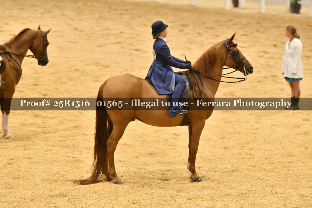 Proof Number 25R1516_01565