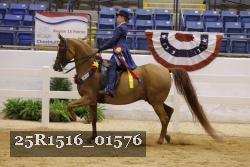 25R1516_01576 thumbnail