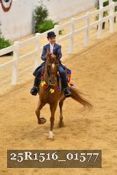 25R1516_01577 thumbnail