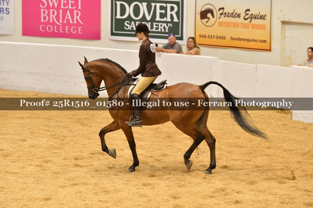 Proof Number 25R1516_01580