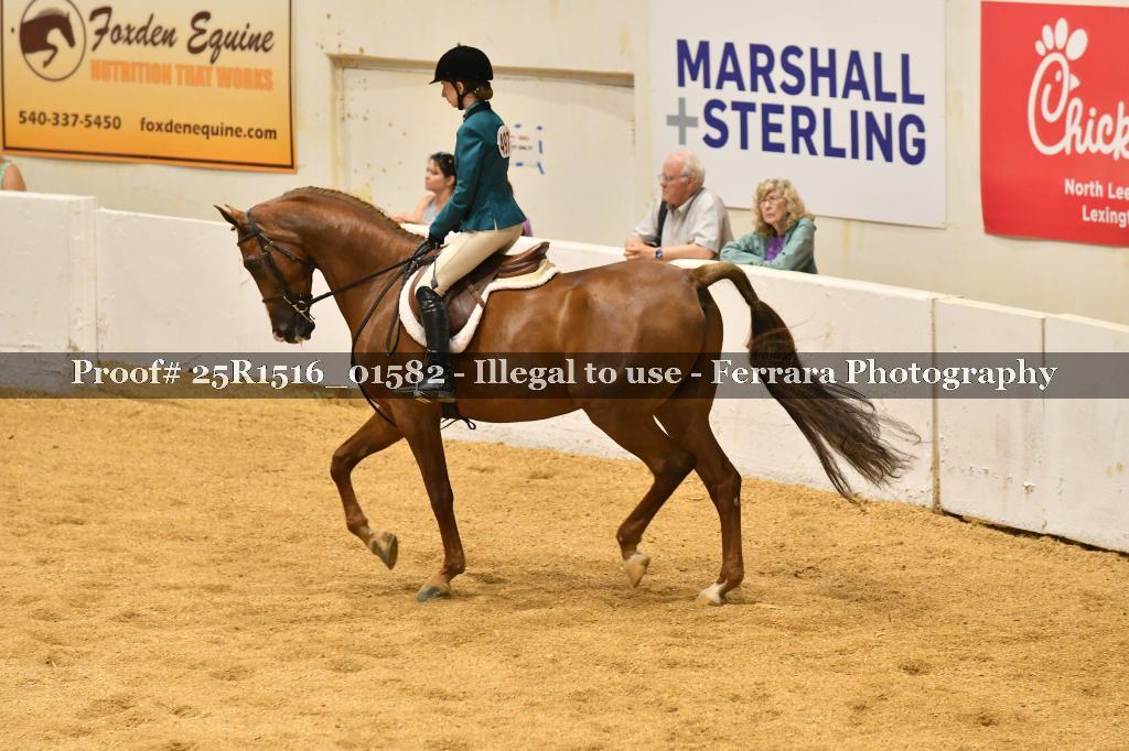 Proof Number 25R1516_01582