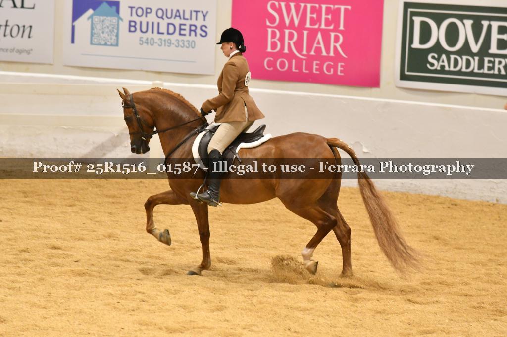 Proof Number 25R1516_01587