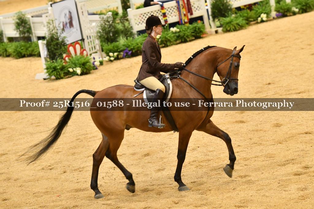 Proof Number 25R1516_01588