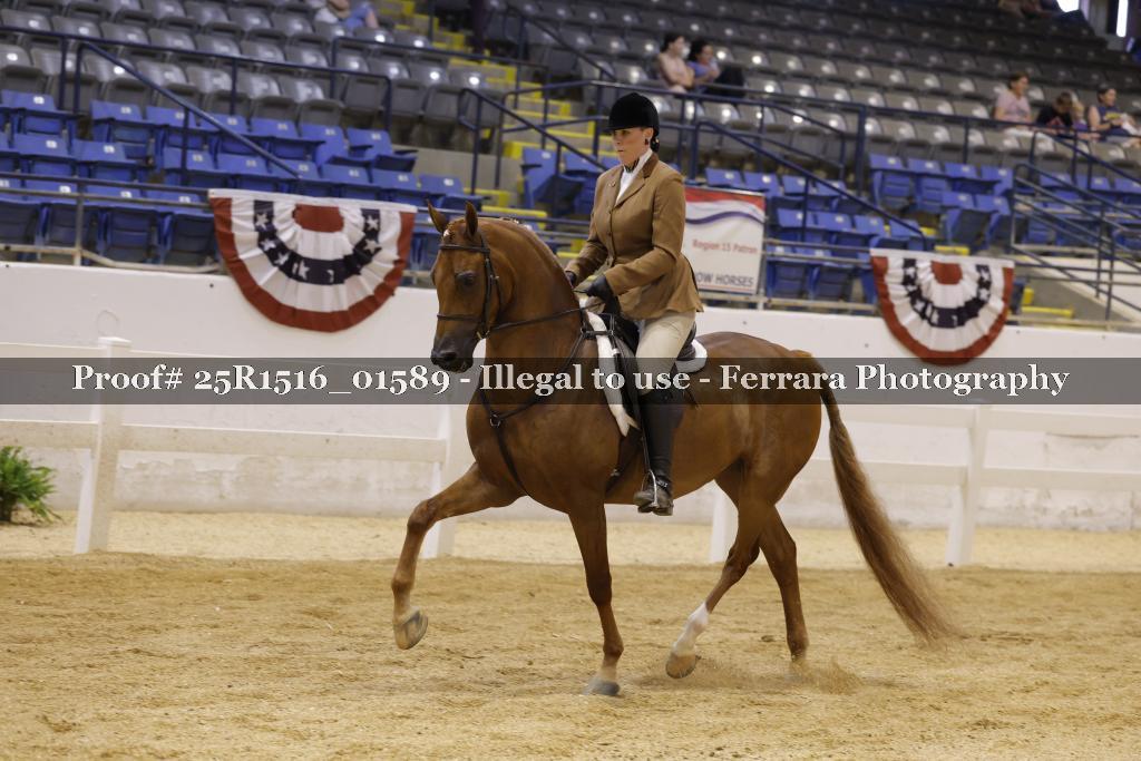 Proof Number 25R1516_01589
