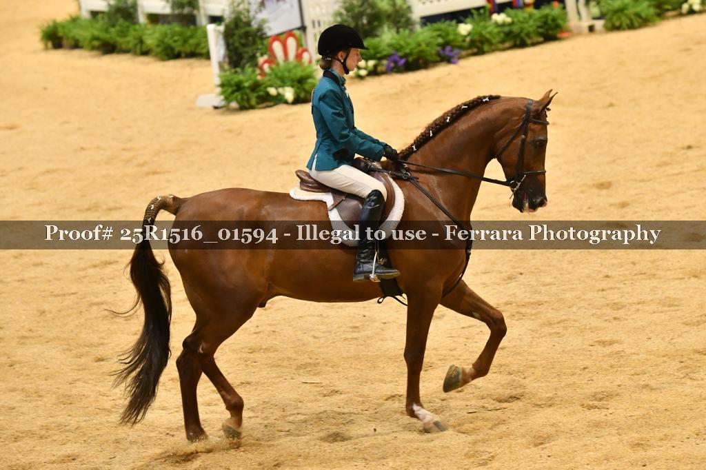 Proof Number 25R1516_01594