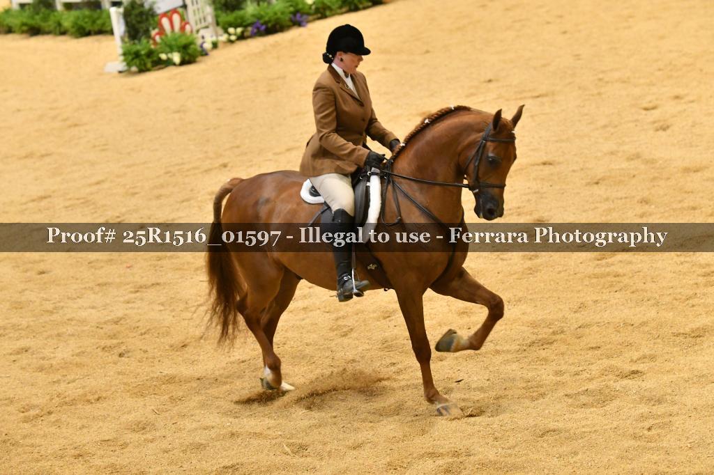 Proof Number 25R1516_01597