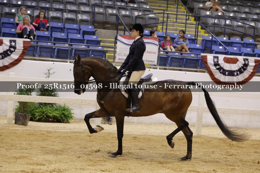 Proof Number 25R1516_01598