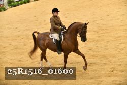 25R1516_01600 thumbnail