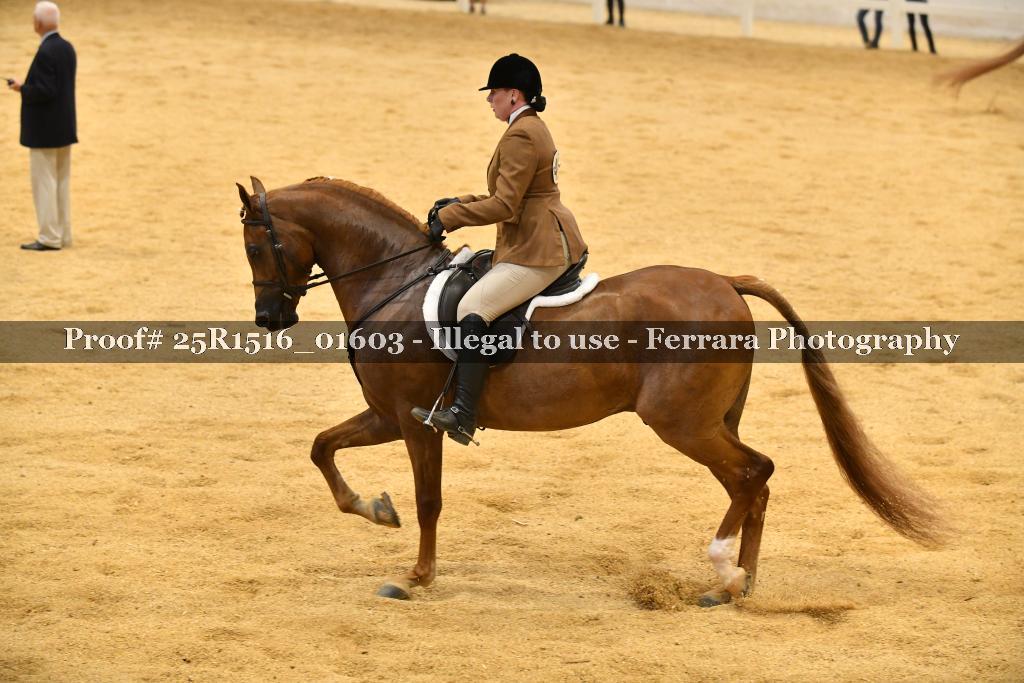 Proof Number 25R1516_01603