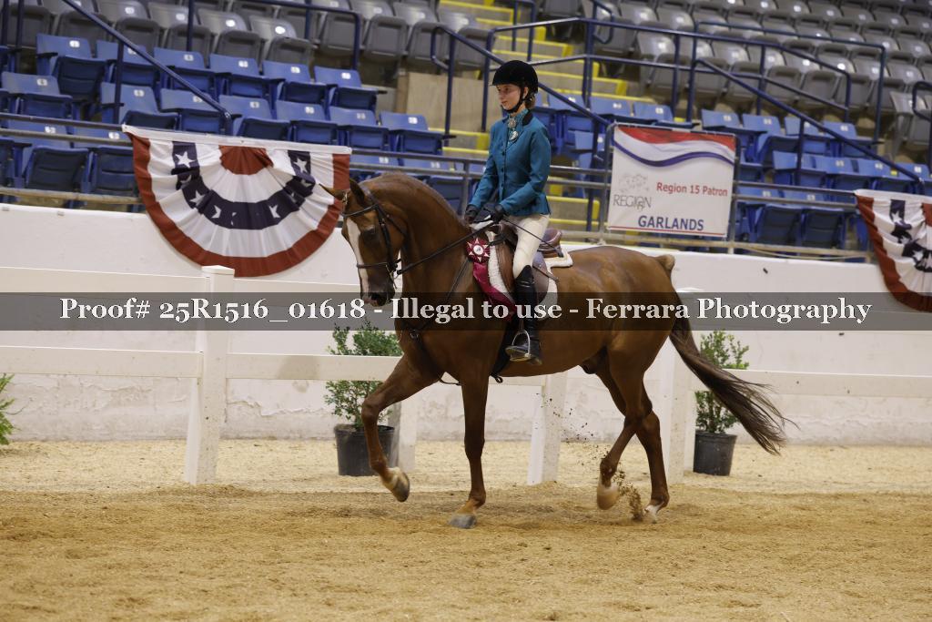 Proof Number 25R1516_01618