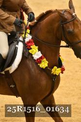25R1516_01634 thumbnail