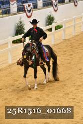 25R1516_01668 thumbnail