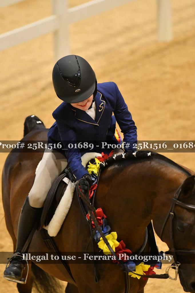 Proof Number 25R1516_01689