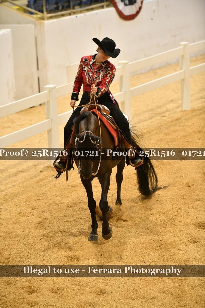 Proof Number 25R1516_01721