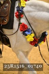 25R1516_01740 thumbnail