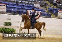 25R1516_01741 thumbnail