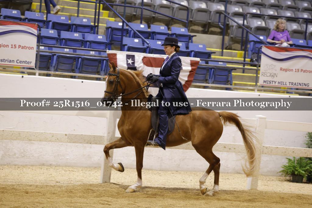 Proof Number 25R1516_01742