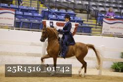 25R1516_01742 thumbnail