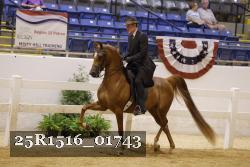 25R1516_01743 thumbnail