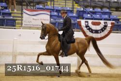 25R1516_01744 thumbnail