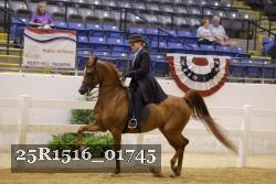 25R1516_01745 thumbnail