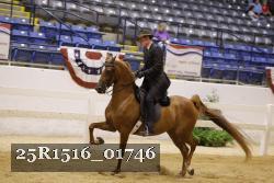 25R1516_01746 thumbnail