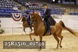 25R1516_01749 thumbnail