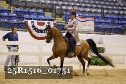 25R1516_01751 thumbnail