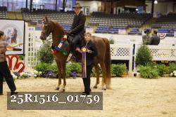 25R1516_01759 thumbnail