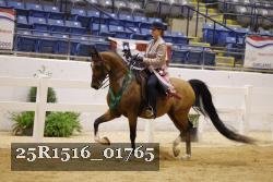 25R1516_01765 thumbnail
