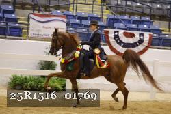 25R1516_01769 thumbnail