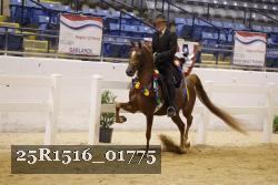 25R1516_01775 thumbnail