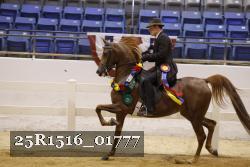 25R1516_01777 thumbnail