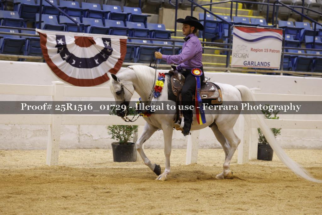Proof Number 25R1516_01729