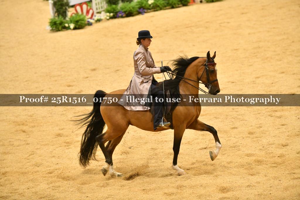 Proof Number 25R1516_01750