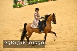 25R1516_01750 thumbnail
